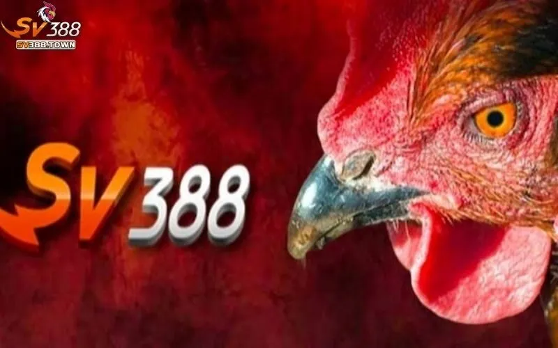 Giới Thiệu SV388 2 Giới thiệu SV388