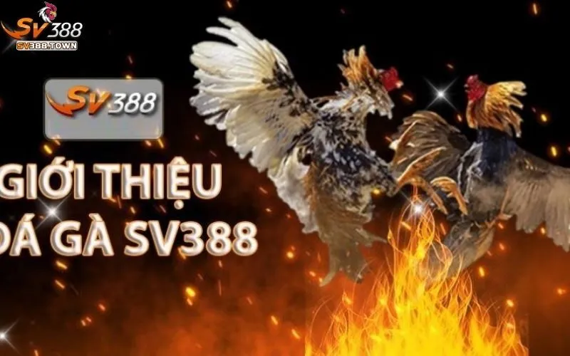 Giới Thiệu SV388 1 Giới thiệu SV388